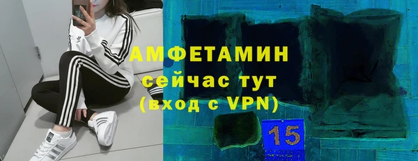 индика Сосновый Бор