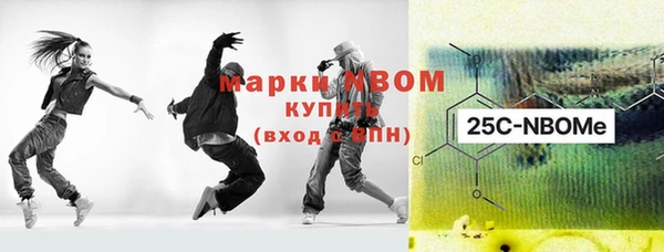 индика Сосновый Бор