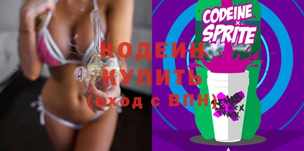 амф Верхний Тагил