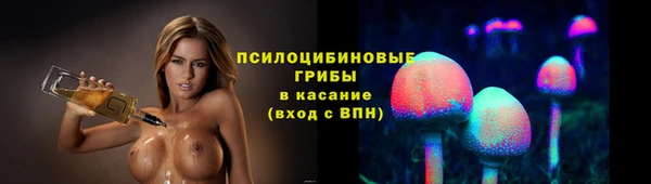 индика Сосновый Бор