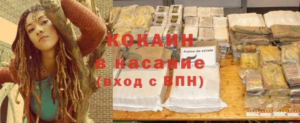 индика Сосновый Бор