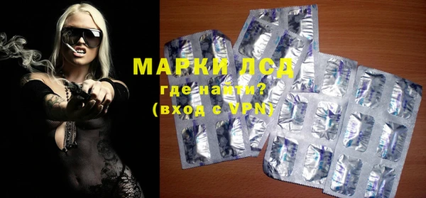 индика Сосновый Бор