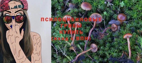 дурь Сосновка