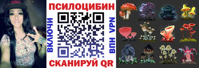 Галлюциногенные грибы MAGIC MUSHROOMS Новосиль