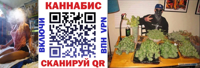 Шишки марихуана OG Kush  сколько стоит  Новосиль 